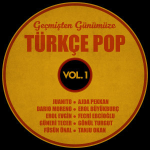 收聽Fecri Ebcioğlu的Dünya Dönüyor歌詞歌曲