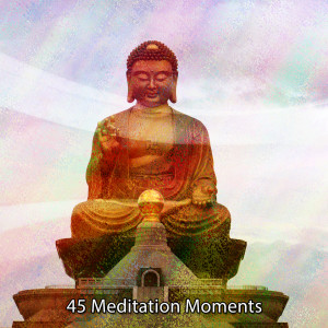 45 Meditation Moments