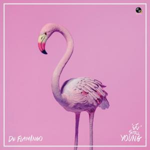 ดาวน์โหลดและฟังเพลง ยัง พร้อมเนื้อเพลงจาก De Flamingo