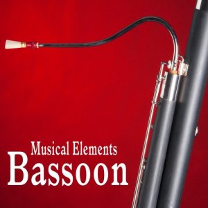 ดาวน์โหลดและฟังเพลง Bassoon Float Accent พร้อมเนื้อเพลงจาก Sound Ideas
