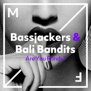 ดาวน์โหลดและฟังเพลง Are You Randy? พร้อมเนื้อเพลงจาก Bassjackers & Dyro