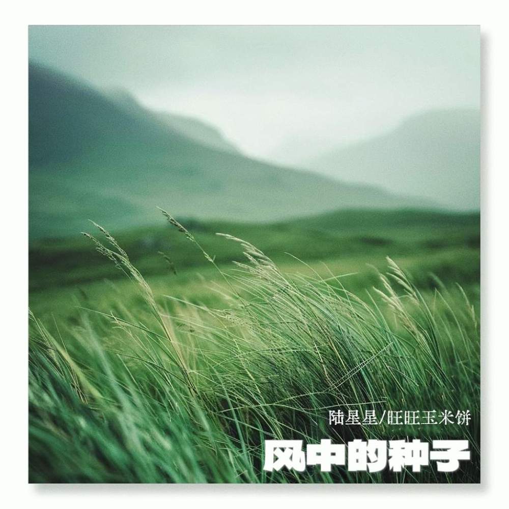 风中的种子