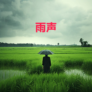 Album 雨声 (睡眠音乐 l 深度睡眠 l 放松 l 缓解压力 l 冥想) from 雨声