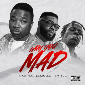 收聽Troy Ave的Why You Mad (Explicit)歌詞歌曲