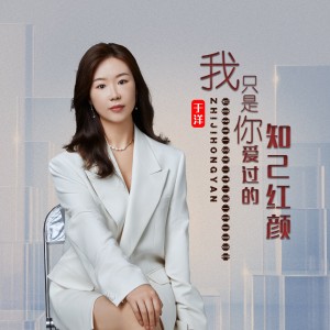 Album 我只是你爱过的知己红颜 from 于洋