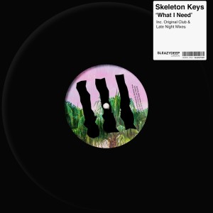 收聽Skeleton Keys的What I Need (Late Night Mix)歌詞歌曲