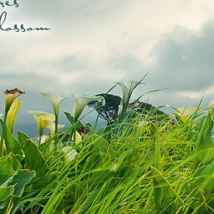 收听郑晓飞的守着你的诺言 (升调轻松版)歌词歌曲