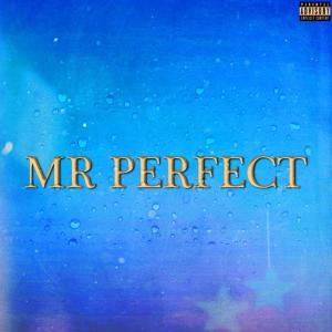 J Cryptic的專輯Mr Perfect (Explicit)