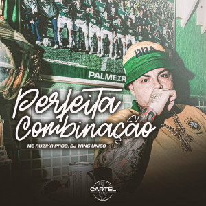 Album Perfeita Combinação (Explicit) from Tang Único