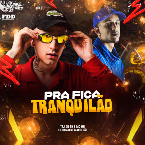 Dj Giovanne Mandelão的專輯Pra Ficar Tranquilão (Explicit)