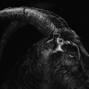 Gostwork的專輯Satanic