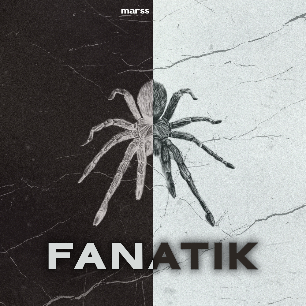 Fanati̇k