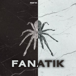 收听Marss的Fanati̇k (Explicit)歌词歌曲