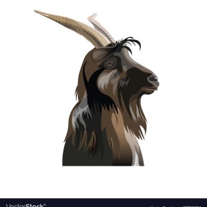 ดาวน์โหลดและฟังเพลง two headed goat (feat. Zooka) (Explicit) พร้อมเนื้อเพลงจาก Qwan