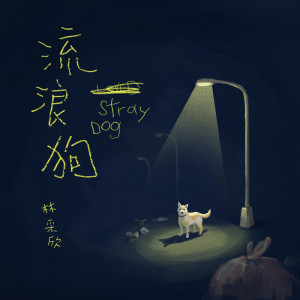 收聽林采欣的流浪狗歌詞歌曲