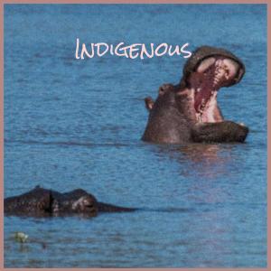 Dengarkan Indigenous lagu dari Pter Chak dengan lirik