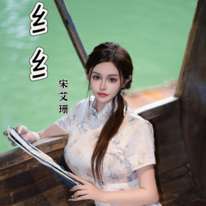 收听宋艾珊的但愿长醉不复醒 (DJ炮哥 2024 Remix)歌词歌曲