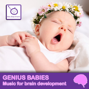 ดาวน์โหลดและฟังเพลง Boost Brain Power พร้อมเนื้อเพลงจาก BabySleepDreams