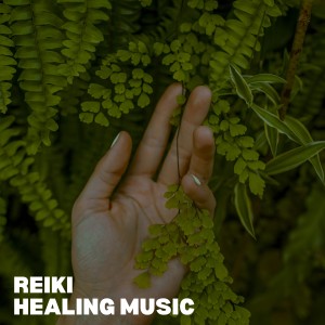 Reiki Healing Academy的專輯Reiki Healing Music