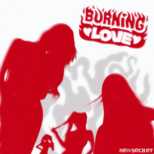 ดาวน์โหลดและฟังเพลง Burning Love พร้อมเนื้อเพลงจาก New Secret