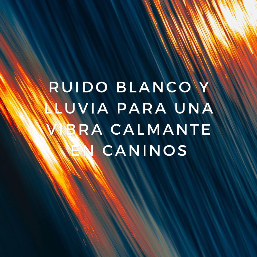 Juego De Escondite En Día Lluvioso