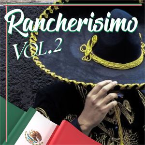 Listen to Tu Eres Mi Motivo song with lyrics from Andres Soler