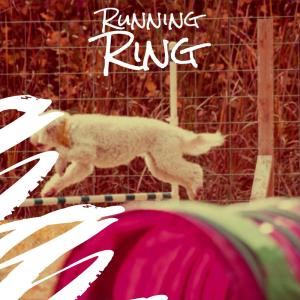 Album Running Ring from Various