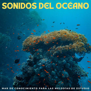 Sonidos Del Océano: Mar De Conocimiento Para Las Melodías De Estudio