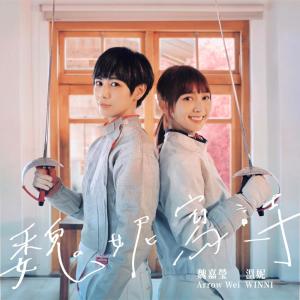 Listen to 傻呼呼 song with lyrics from 魏嘉莹