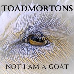 ดาวน์โหลดและฟังเพลง Some Thing พร้อมเนื้อเพลงจาก The Toadmortons