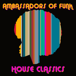 Listen to Supermarioland (Remastered Radio Version) song with lyrics from Ambassadors Of Funk