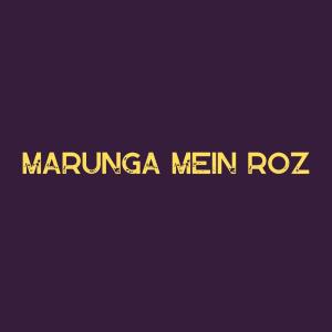 Marunga Mein Roz (Slow + Reverb)