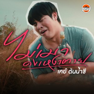 ดาวน์โหลดและฟังเพลง ไม่เมาคงเหงาตาย พร้อมเนื้อเพลงจาก เค ต้นน้ำชี