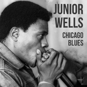 ดาวน์โหลดและฟังเพลง Little by Little พร้อมเนื้อเพลงจาก Junior Wells