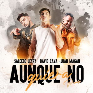 ดาวน์โหลดและฟังเพลง Aunque No Quiera (Remix) พร้อมเนื้อเพลงจาก David Cava