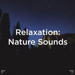 收听Yoga的Relaxing Water For Sleep歌词歌曲
