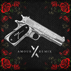 Listen to Amour X (Remix) song with lyrics from Irys