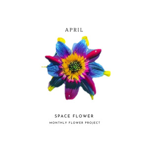 PERC%NT的專輯Space Flower