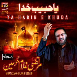 ดาวน์โหลดและฟังเพลง Mujhko Awaaz Do พร้อมเนื้อเพลงจาก Murtaza Ghulam Hussain