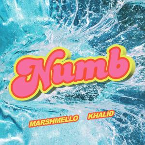 Marshmello的專輯Numb