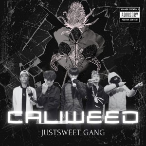 Listen to CALI**** (Explicit) song with lyrics from NEWWAVE MUSIC