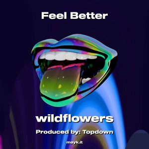 Wildflowers的專輯Feel Better (Explicit)