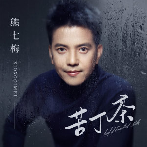 收听熊七梅的苦丁茶歌词歌曲