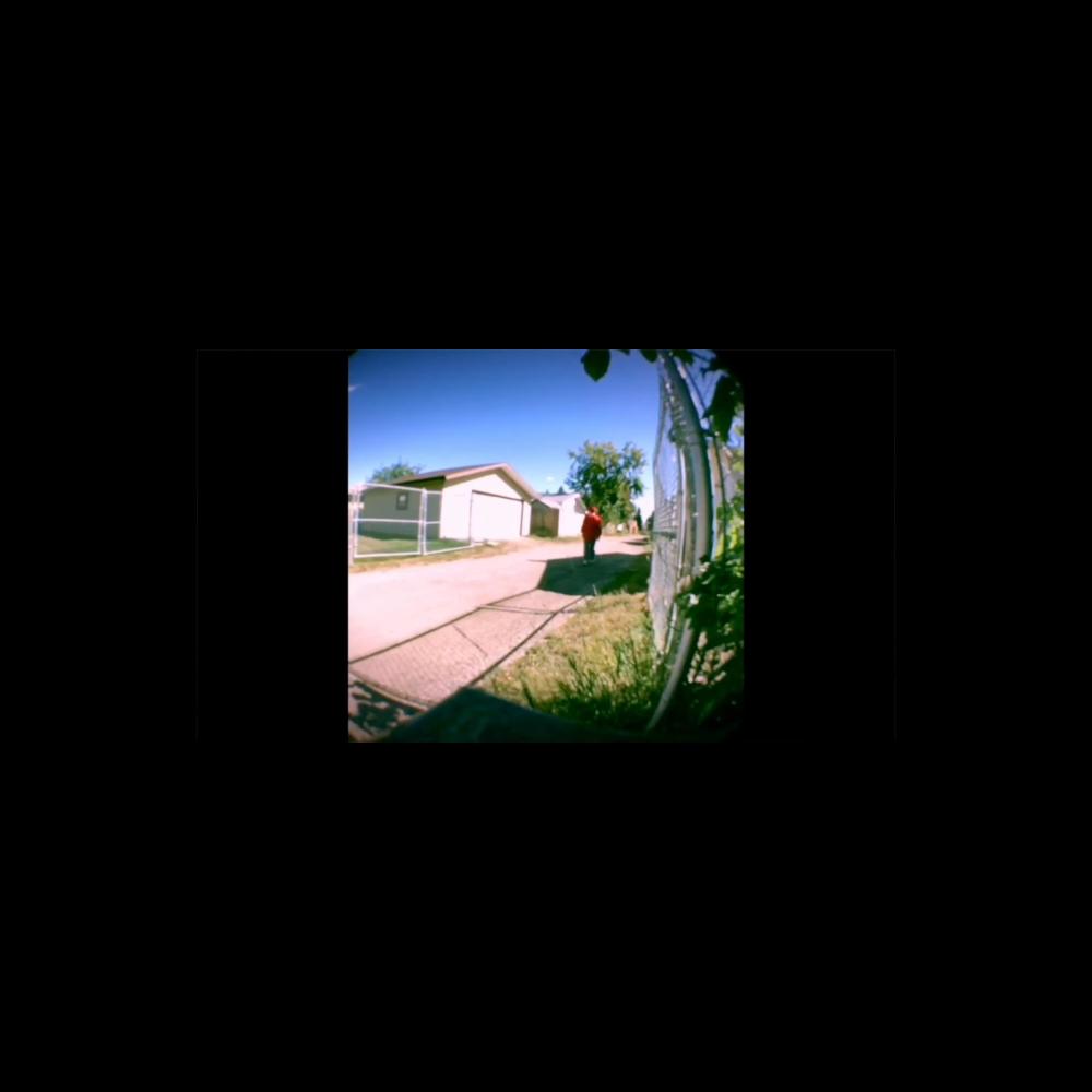 Survivor (Explicit)