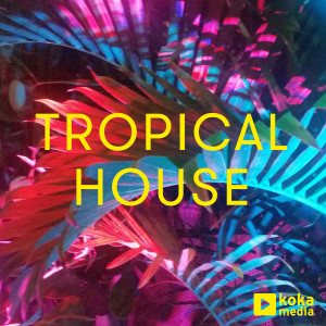 Bustafunk的專輯Tropical House