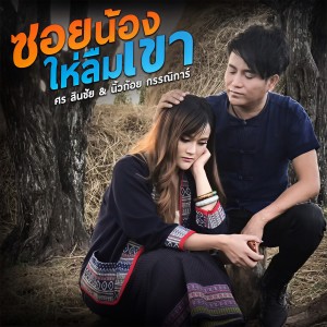 收听ศร สินชัย的ซอยน้องให่ลืมเขา歌词歌曲