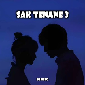 Listen to Saktenane 3 song with lyrics from DJ OSLO