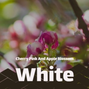 收聽Eddie Calvert的Cherry Pink and Apple Blossom White歌詞歌曲