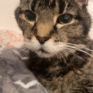 收聽PeaXIII的Cold歌詞歌曲