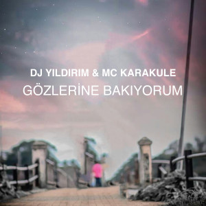Listen to Gözlerine Bakıyorum song with lyrics from DJ Yıldırım